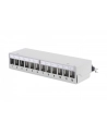DIGITUS  PROFESSIONAL (DN93706) - nr 22