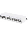 DIGITUS  PROFESSIONAL (DN93706) - nr 30