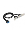 Delock Śledź z 2x USB 3.0 (84836) - nr 12