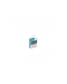 Digitus Adapter DisplayPort - HDMI (DB340602000S) - nr 19