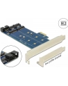 Delock 2x M.2 NGFF (89374) - nr 16