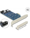 Delock 2x M.2 NGFF (89374) - nr 19