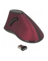 Delock 12528 - nr 21