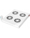 Digitus Cooling Unit for 19'' Installation (DN-19 FAN-4-HO) - nr 12