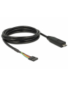 Delock Konverter USB/C 2.0 St > LVTTL 3.3V 6Pin 2.0m - nr 8