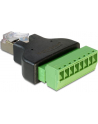 Delock Adapter RJ45 M - Terminal Block 8-pin (65389) - nr 12