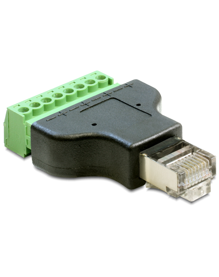 Delock Adapter RJ45 M - Terminal Block 8-pin (65389) główny