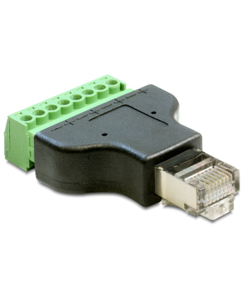 Delock Adapter RJ45 M - Terminal Block 8-pin (65389)