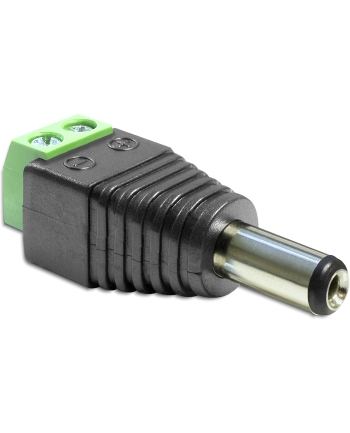 Delock Adapter DC 2.1 x 5.5 mm męski - Terminal Block 2 pin (65396)