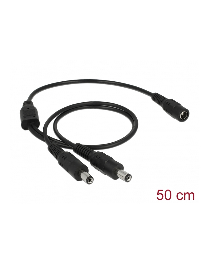 Delock Kabel 1 x DC 5.5 mm x 2.1 mm (83286) główny