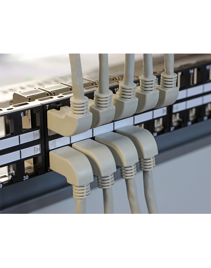 Delock Patchcord Cat.6 SSTP wtyczka kątowa 1m (83645) główny