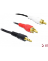 Delock Minijack 3.5 RCA (Cinch) x2 5m Czarny (84212) - nr 11