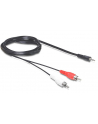 Delock Minijack 3.5 RCA (Cinch) x2 5m Czarny (84212) - nr 1