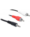 Delock Minijack 3.5 RCA (Cinch) x2 5m Czarny (84212) - nr 8