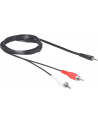 Delock Minijack 3.5 RCA (Cinch) x2 5m Czarny (84212) - nr 9