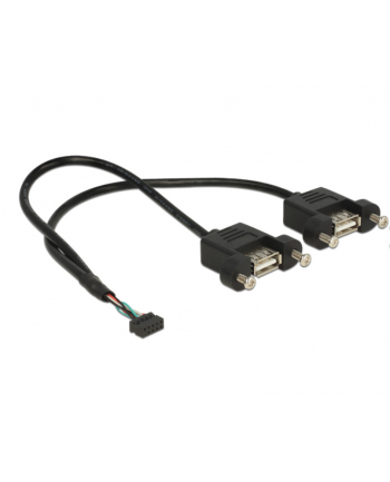 Delock Kabel USB 10 pin - 2x USB, do zabudowy panelowej, 25 cm (84832)