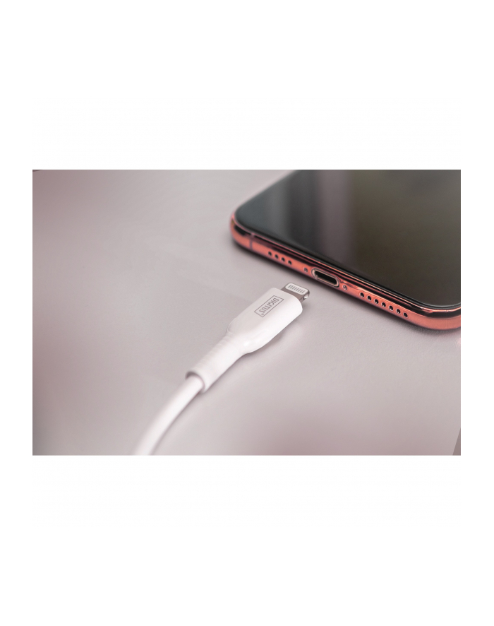 Digitus Kabel USB Digitus LIGHTNING-USB M/M 1.0M (DB600106010W) główny