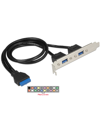 Delock Śledź z 2x USB 3.0 (84836)