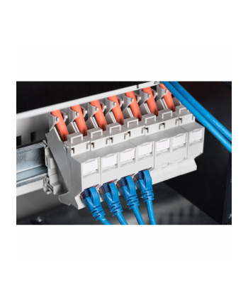 Digitus Adapter for Keystone Modules IP20 (AN25187)