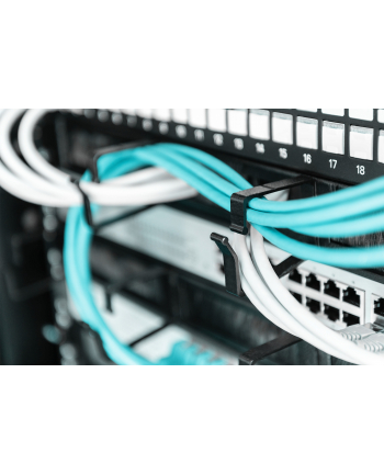 Digitus Organizer kabli  44x60mm (DN-97663) nr 2