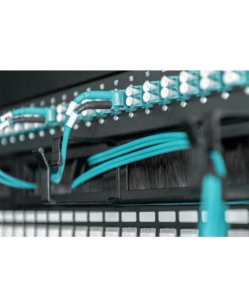 Digitus Organizer kabli  44x60mm (DN-97663) nr 1