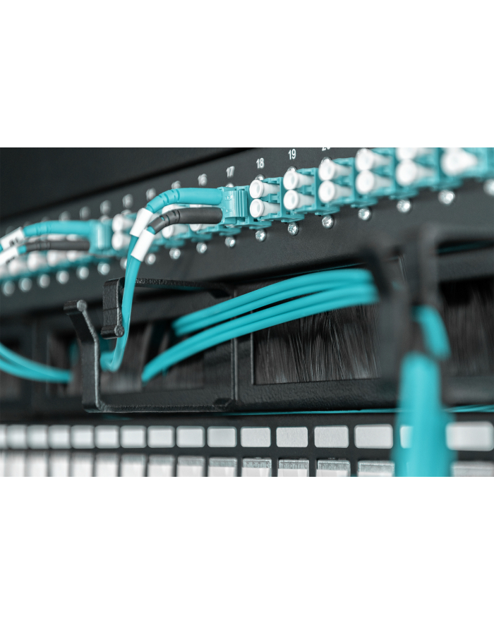 Digitus Organizer kabli  44x60mm (DN-97663) główny