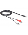 Delock Kabel Jack-2xCinch (84000) - nr 2