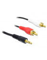 Delock Kabel Jack-2xCinch (84000) - nr 3