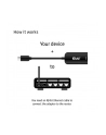Club 3D - network adapter (CAC1520) - nr 19