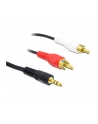 Delock Kabel Jack-2xCinch (84000) - nr 10