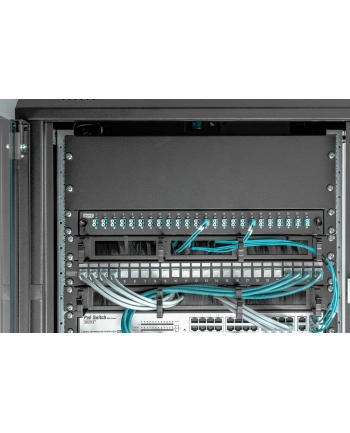 Digitus DN-19-BPN-03-SW nr 1