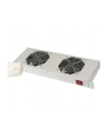 Digitus Cooling Unit for 19'' Installation (DN-19 FAN-2-HO) - nr 15
