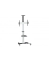 Equip Stojak Tv 37-70 50Kg (650602) - nr 5