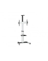 Equip Stojak Tv 37-70 50Kg (650602) - nr 7
