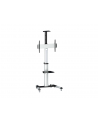 Equip Stojak Tv 37-70 50Kg (650602) - nr 1