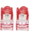 Intellinet Kabel Sieciowy Cat.6 S/FTP AWG 28 RJ45 0.50m Czerwony (735247) - nr 22