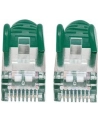 Intellinet Kabel Sieciowy Cat.6 S/FTP AWG 28 RJ45 3m Zielony (735483) - nr 19