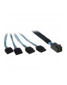 Inter-Tech SFF 8643 - 4x SATA 0,5m (88885003) - nr 3