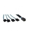 Inter-Tech SFF 8643 - 4x SATA 0,5m (88885003) - nr 5
