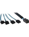 Inter-Tech SFF 8643 - 4x SATA 0,5m (88885003) - nr 6