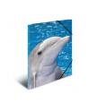Herma Herma Sammelmappe A3 Delfin Polypropylen 7146 - nr 3