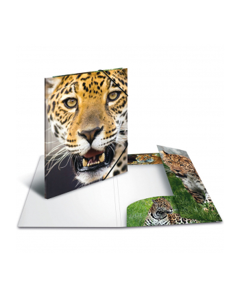 Herma Teczka A3 Leopard