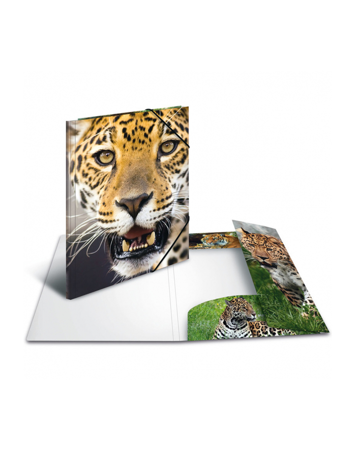 Herma Teczka A3 Leopard główny
