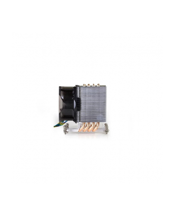 Inter-Tech A-19 3HE Aktiv (88885509)