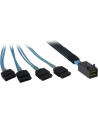Inter-Tech SFF 8643 - 4x SATA 0,5m (88885003) - nr 4
