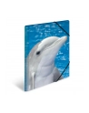 Herma Herma Sammelmappe A3 Delfin Polypropylen 7146 - nr 1