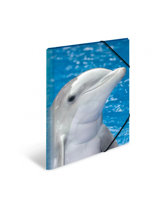 Herma Herma Sammelmappe A3 Delfin Polypropylen 7146 główny