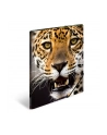 Herma Teczka A3 Leopard - nr 1