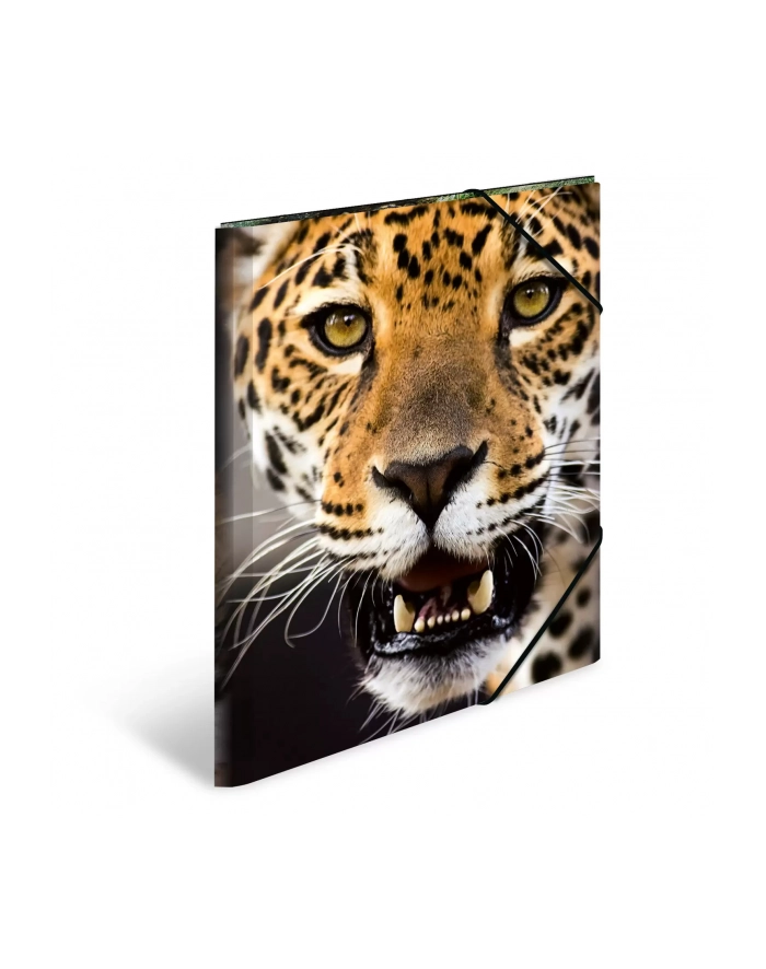 Herma Teczka A3 Leopard główny