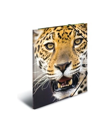 Herma Teczka A3 Leopard